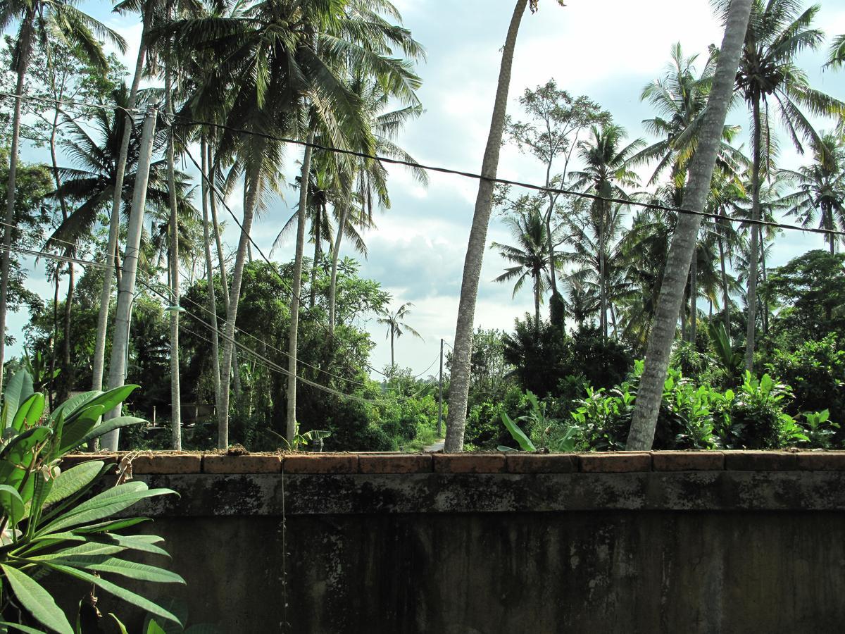 Отель Sunrise Coconut House Убуд Экстерьер фото
